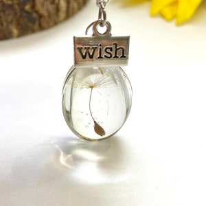 Pustezahn Halskette, Wunsch halskette, echte Pustezahn, Glas Terrarium, Make a Wish Halskette