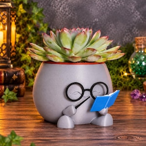 Wizard Reading Planter- Fantasy Bookish Decor