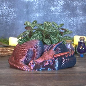 Sleeping Dragon Planter Bowl- Bookish Fantasy Decor