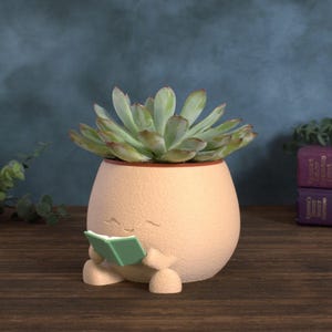 May include: A whimsical peach-colored planter shaped like a character reading a book, holding a green book. The planter is filled with a green succulent plant. The background is a dark teal color.