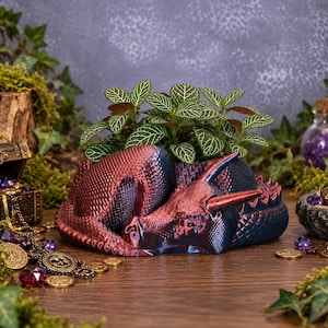 May include: A sleeping dragon-shaped planter with a metallic red and dark blue finish, featuring textured scales and two horns. The dragon is curled around a small green plant with white-veined leaves, creating a decorative container.