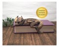 Sleepy Dragon Bookshelf Decor – Fantasy Figurine | Book Nook Companion