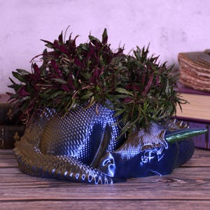 Sleeping Dragon Planter Bowl- Bookish Fantasy Decor