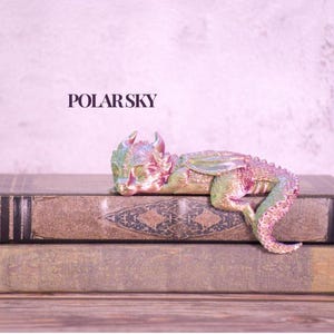 May include: A multi-colored dragon figurine rests on two antique books. The dragon has a pink, green, and blue color scheme. The books are brown with gold accents. The text "POLAR SKY" is above the books.