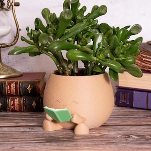 May include: A green jade plant in a tan, egg-shaped planter with a small figure reading a green book. The plant has thick, glossy leaves. The planter is on a wooden surface near books and a decorative hourglass.