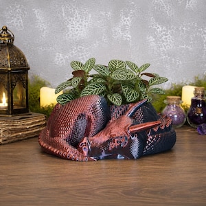 May include: A metallic red and black dragon-shaped planter featuring a textured, scale-like surface. The dragon is depicted in a curled, resting position with its head tucked forward, providing a central opening that holds a small green plant.