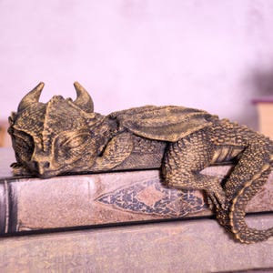 May include: A detailed, bronze-colored dragon figurine resting on a stack of books. The dragon has horns, textured scales, and folded wings. The books have decorative covers with a vintage aesthetic.