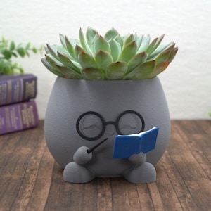 Wizard Reading Planter | Bookish Bookshelf Decor for Book Lovers, Readers, and Cozy Libraries