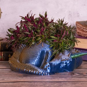 May include: A blue and gold dragon-shaped planter holding a vibrant plant with deep red and green foliage. The dragon has a green horn and is resting on a wooden surface. The planter is a unique decorative item.