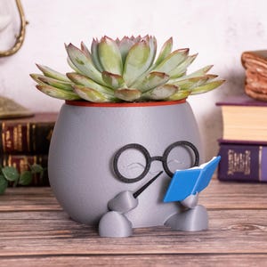 May include: A gray ceramic planter shaped like a character with glasses and a book. The planter holds a succulent with green and red-tipped leaves. The rim of the planter is red.