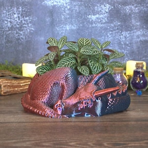 Sleeping Dragon Bowl | Fantasy Catchall Dish | Bookish Shelf Decor | Planter