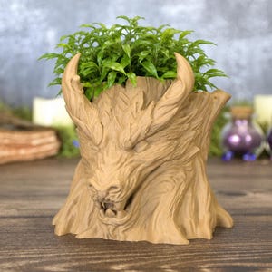 May include: A light brown planter shaped like a dragon head with horns and an open mouth, featuring intricate scale textures. The planter is filled with a small, vibrant green leafy plant, creating a contrast between the earthy tone and foliage.