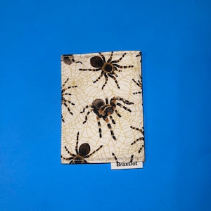 Portefeuille minimaliste Tarentula avec protection par carte RFID