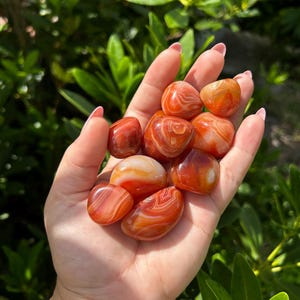 May include: A handful of polished carnelian stones, showcasing a range of warm orange and reddish-brown hues. The stones have a smooth, rounded shape, with visible banding patterns. The background features lush green foliage.