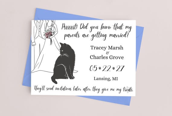 When a Cat Grooms in Front of You: Surprising Meanings Explained