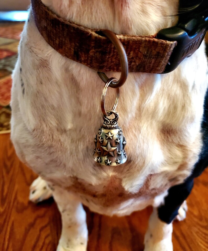 Indian GUARDIAN Bell of Good Luck gift fortune pet keychain American Indian