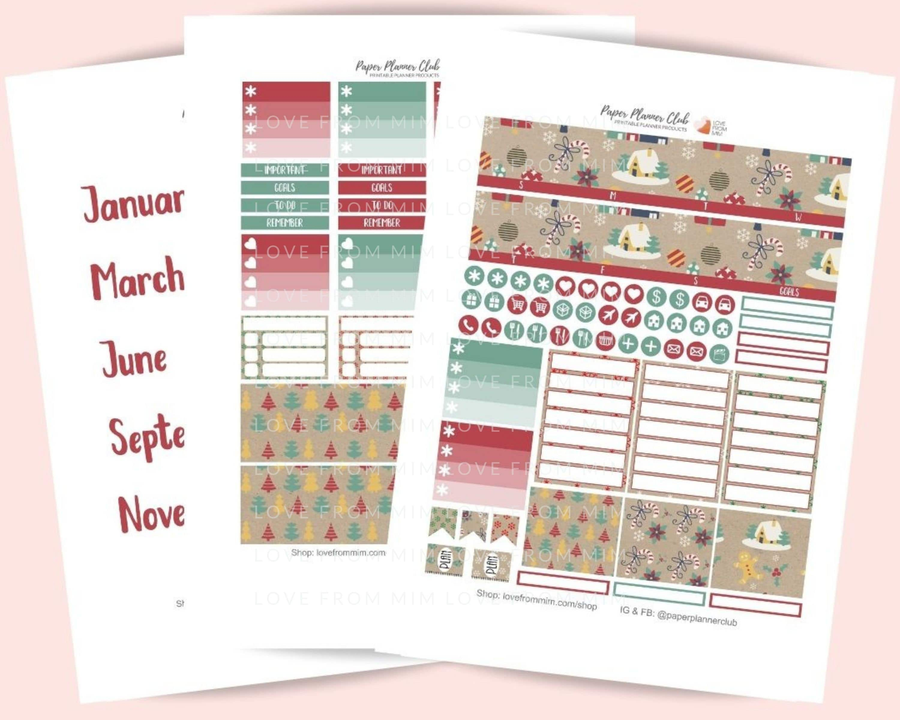 January MONTHLY Kit Planner Stickers Monthly Spread for Erin Condren /  Stickers for Erin Condren / Themed Monthly Planner Stickers 