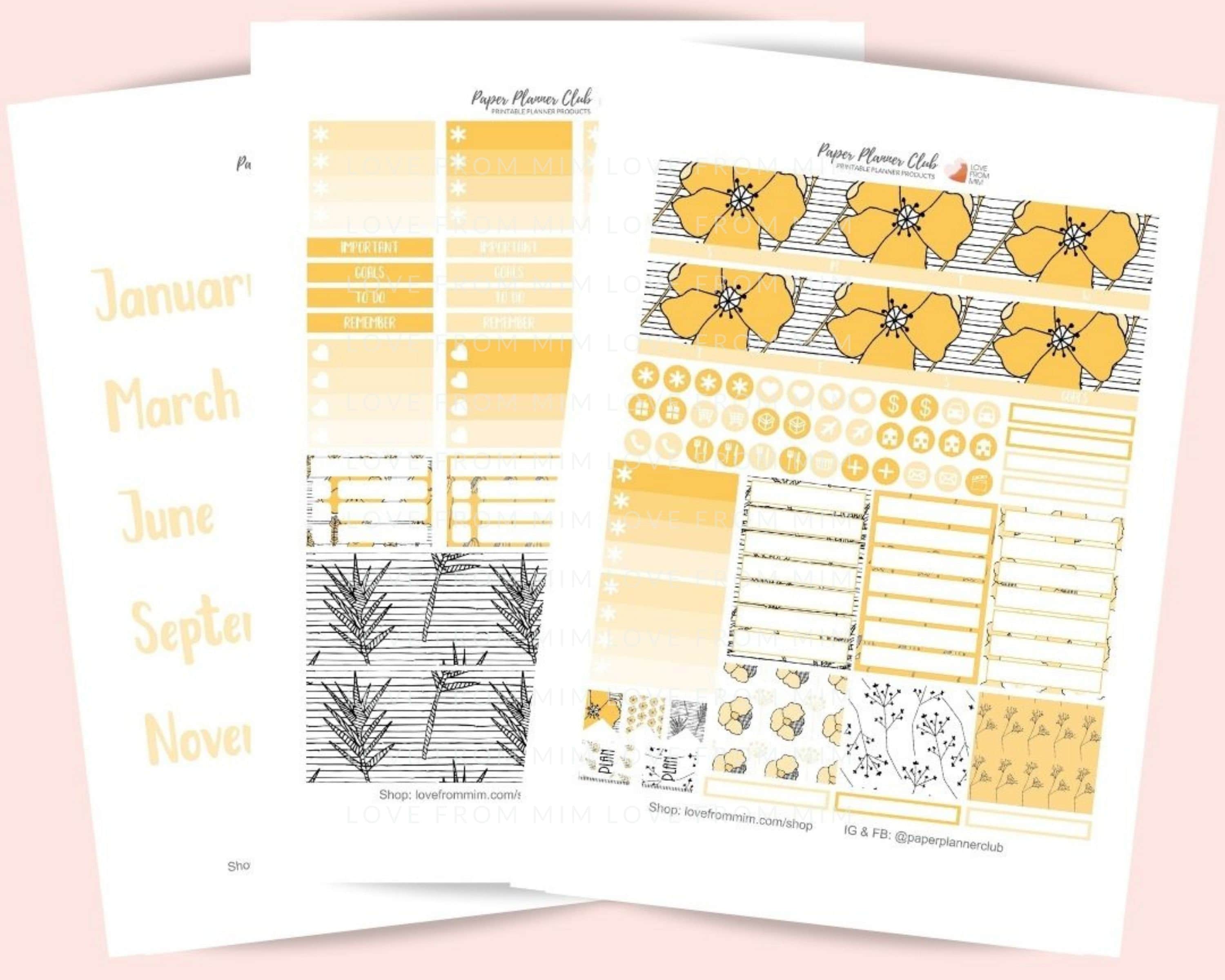 Erin Condren 7x9 Monthly Kit. AUGUST Groovy Summer Planner Stickers – My  Happy Place Stickers