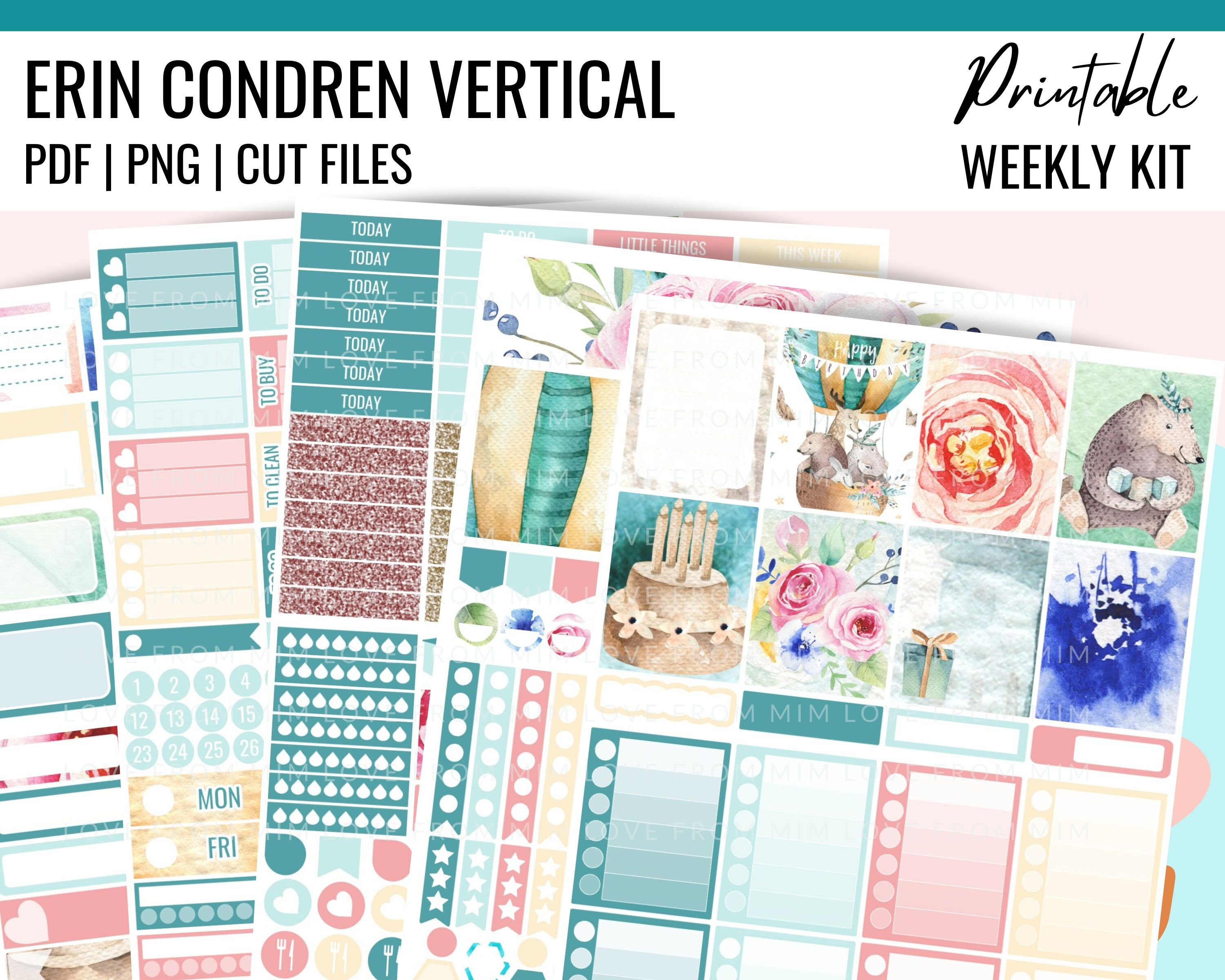 PRINTABLE BIRTHDAY Planner Stickers, Erin Condren Printable Weekly Kit ...