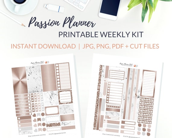 PRINTABLE ROSE Gold Planner Stickers, Weekly Planner Kit for Passion  Planner Large 