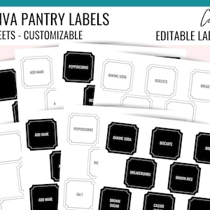 PRINTABLE CANVA PANTRY Labels Template, Customizeable Editable Pantry Labels to Print at Home, Pantry Sticker Printables, Commercial Licence