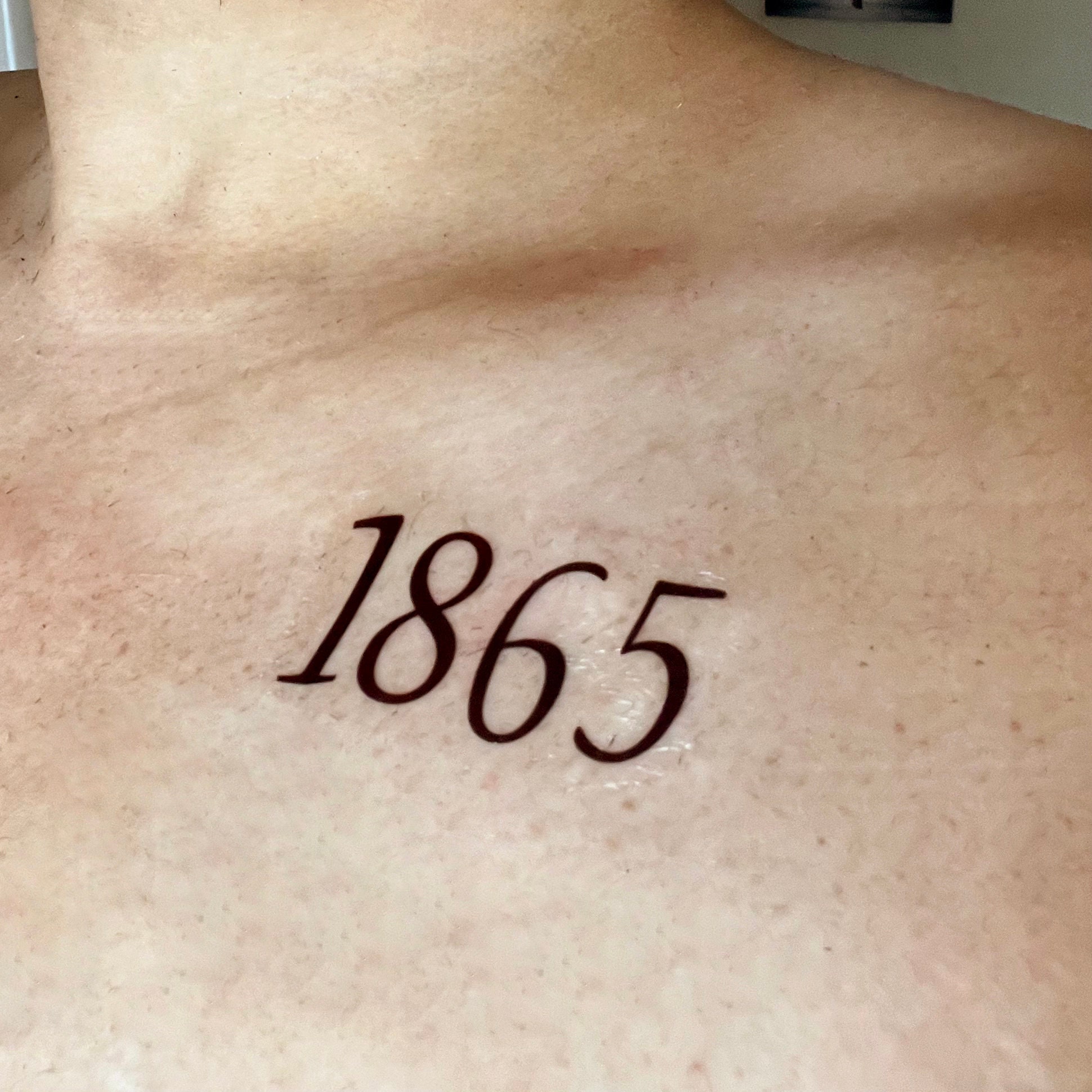 tats Thunderbird tattoo #sin6 #hooper #inkdom #2920 #horror