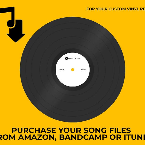 Buy Your Music:  Itunes, Bandcamp or Amazon Song Files for Your Mixtape Custom Vinyl Or CD --- Please read listing description For DETAILS