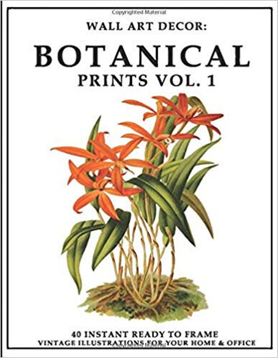 Botanical Prints Vol 1 40 Instant Wall Art Ready To Frame Etsy