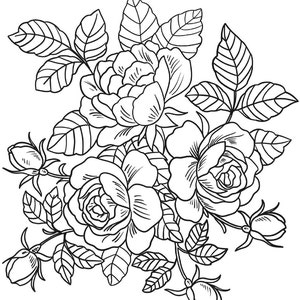 15 Flower coloring pages, Coloring Pages instant download, Floral, coloring pages, Coloring Book, Adult Coloring Book image 3