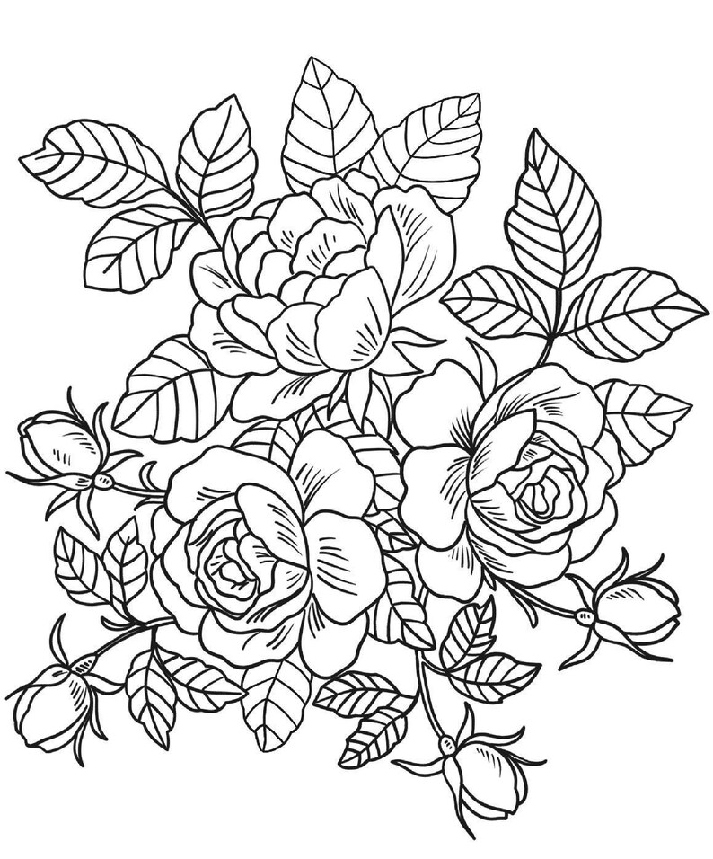 15 Flower coloring pages, Coloring Pages instant download, Floral, coloring pages, Coloring Book, Adult Coloring Book image 3