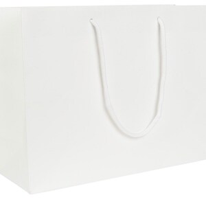 May include: A white paper gift bag with white rope handles.