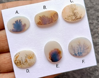 Scenic Dendritic Agate Cabochon: Dendrite Agate Natural Flatback Loose Gemstones for Jewelry Making