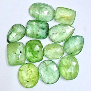 Mint Green Kyanite Rosecut Gemstone: Jewelry Making Stone (7x9x3mm - 8x12x3mm)