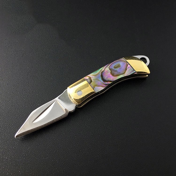 The Worlds Smallest Functional Folding Pocket Knife Stainless Etsy