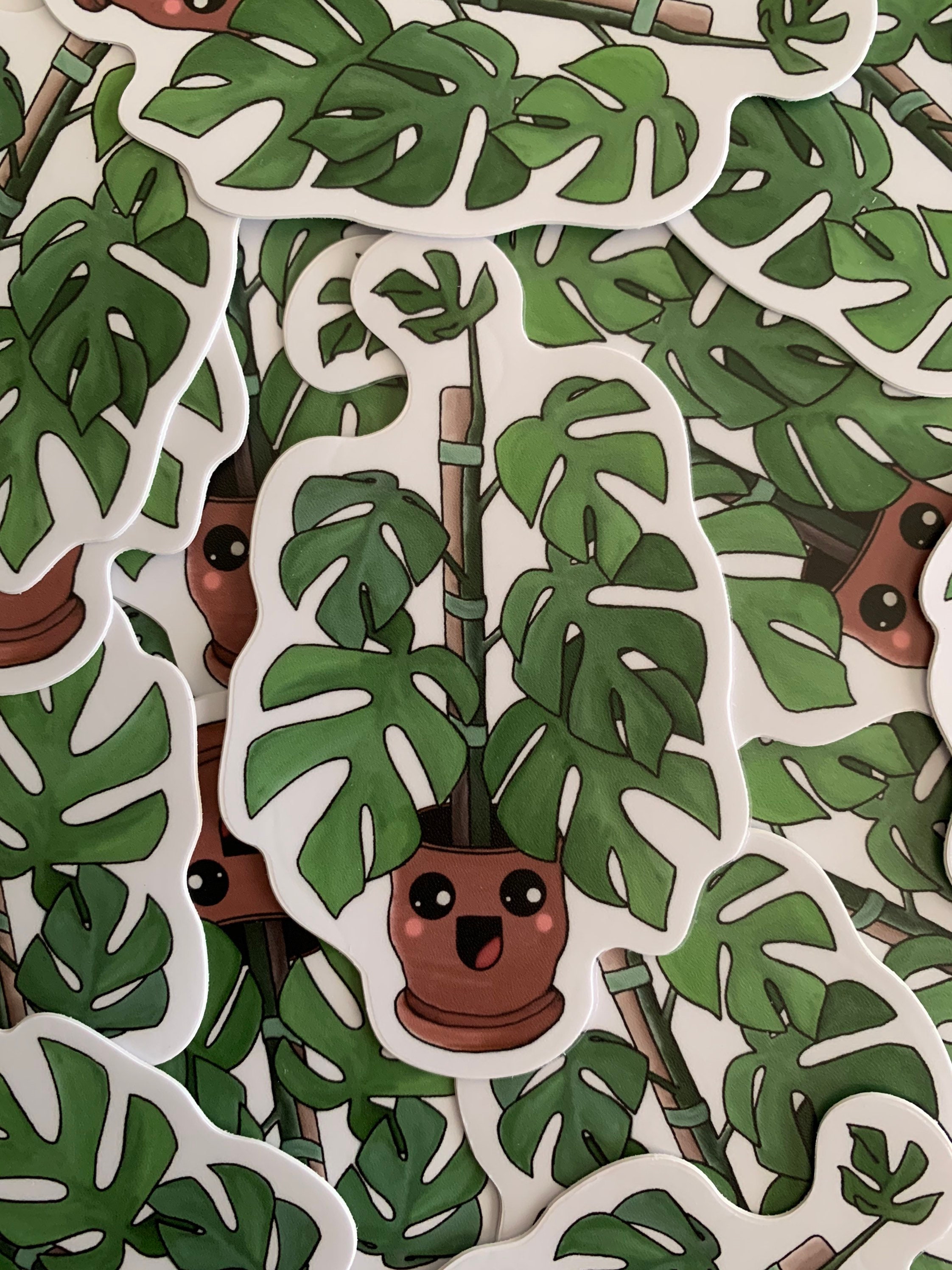 Monstera Deliciosa Sticker - Etsy