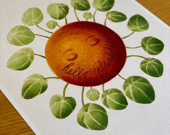 Impresión de ilustración de Pilea - Decoración de pared botánica, arte vegetal - Hello plantshine