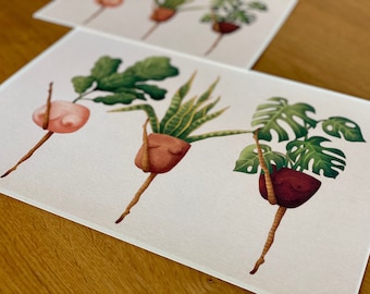 Lámina artística de Planta Cancán: Ilustración botánica, decoración para amantes de las plantas