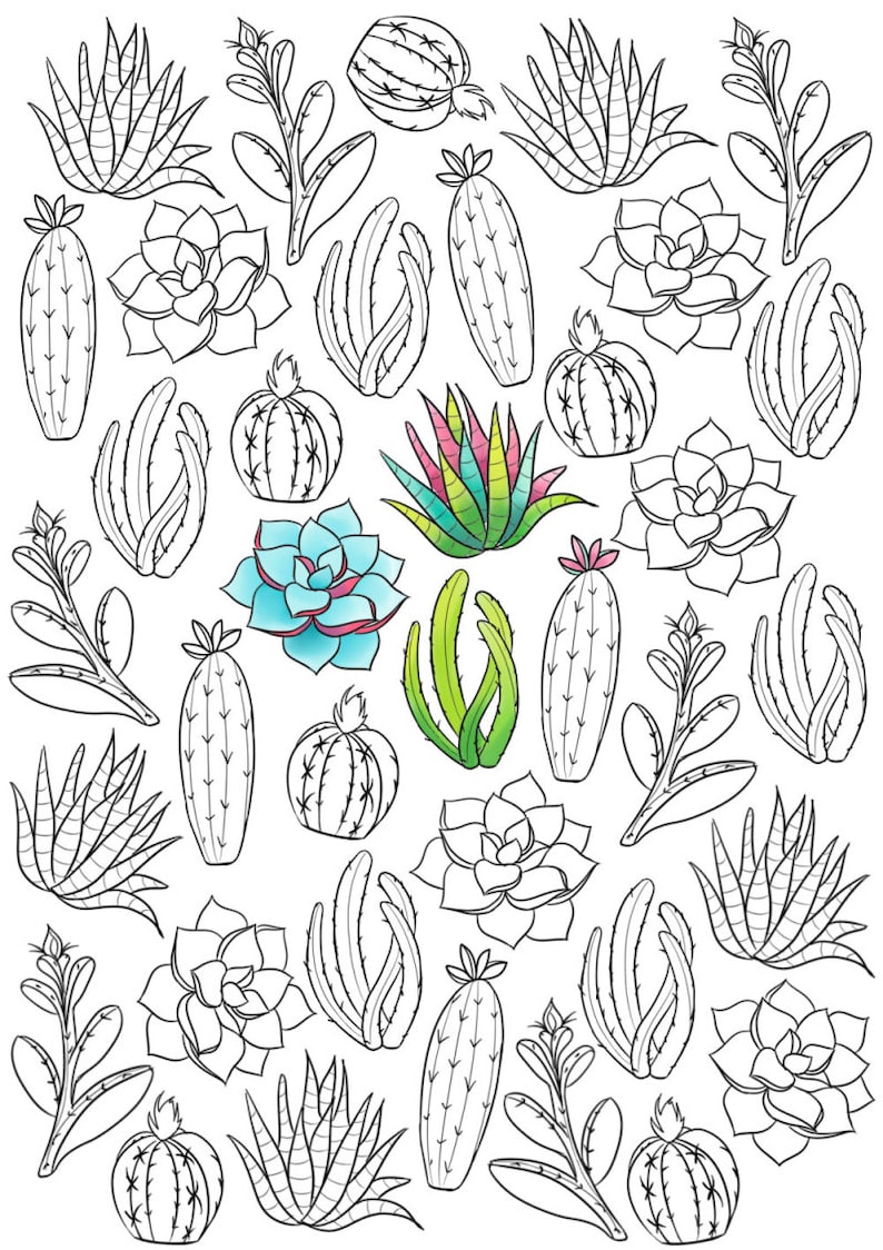 Printable Succulent Coloring Page