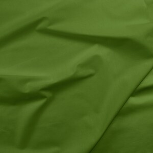 Pickle  (Half Yard Cuts)  |  Painters Palette Solids Collection  |  Paintbrush Studio Fabrics