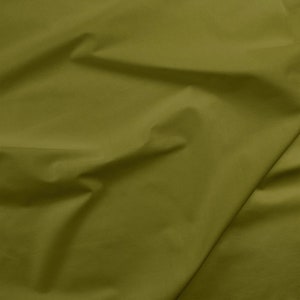 Old Green  (Half Yard Cuts)  |  Painters Palette Solids Collection  |  Paintbrush Studio Fabrics