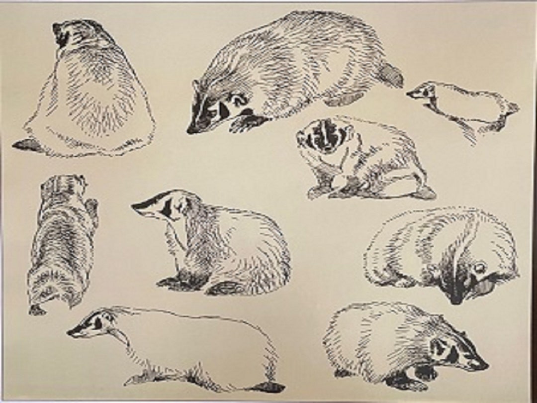 絵画　美術品　Aston Greathead アストングレートヘッド　タスマニア 絵画 美術品 Aston Greathead アストングレートヘッド