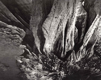 May include: A black and white photograph of a rock formation with a textured surface. The rock formation is shaped like a flower with many petals.