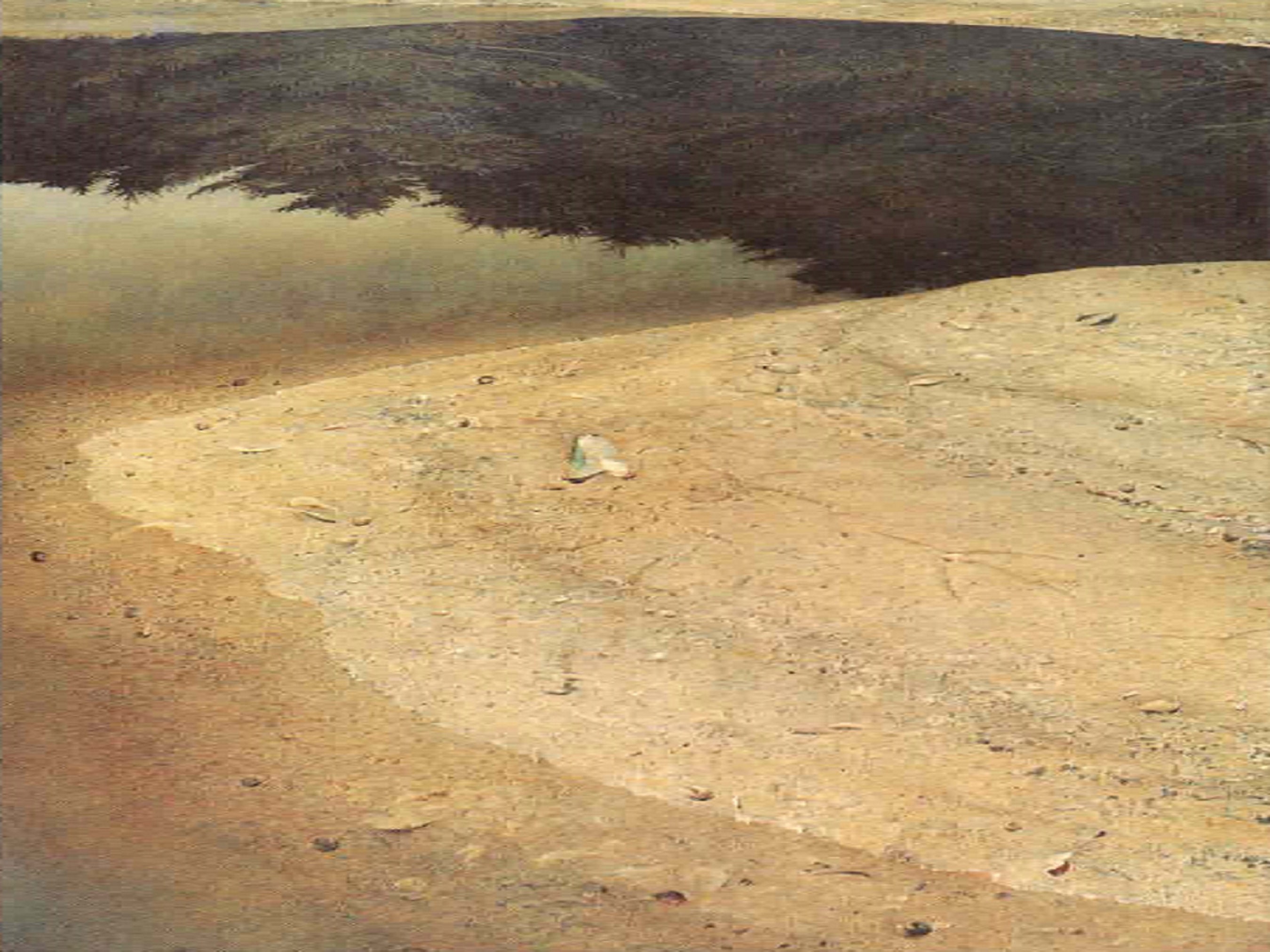 Vintage 1960 Wyeth Vintage 1960 Wyeth