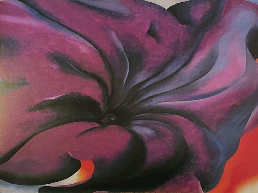 georgia-o-keeffe-purple-petunia-extremely-rare-vintage-full-page