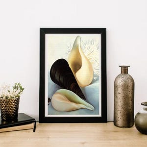 Giclée Fine Art Print; &quot;Three Shells&quot; By Georgia O&#39;Keeffe; Fine Art Print; Giclée Print; Georgia O&#39;Keeffe Art Print; Symbolism Art