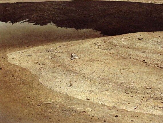 Vintage 1960 Wyeth Vintage 1960 Wyeth