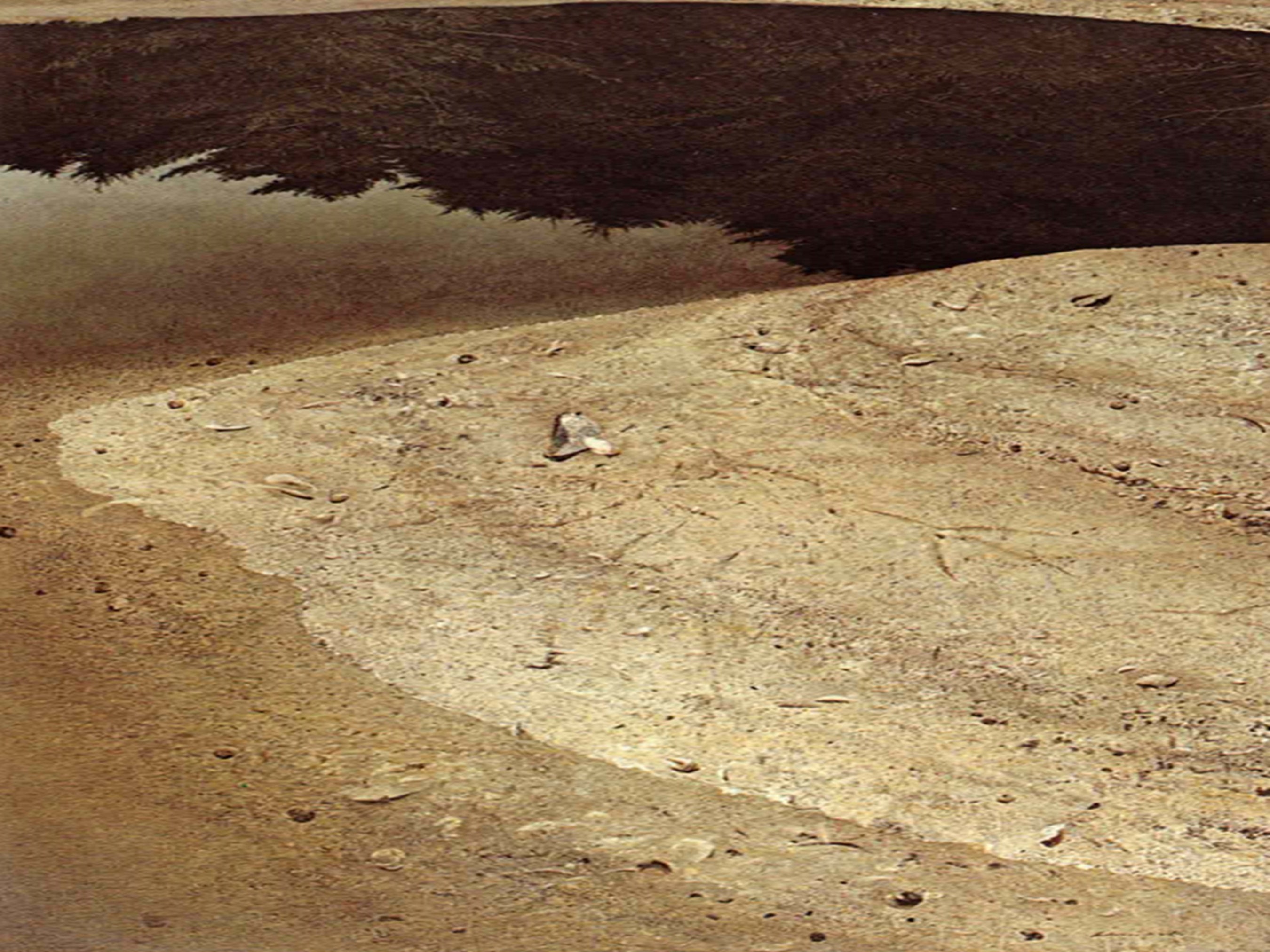 Vintage 1960 Wyeth Vintage 1960 Wyeth
