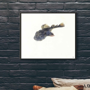 Giclée Fine Art Print; &quot;Sculpin&quot; By Andrew Wyeth; Fine Art Print; Giclée Print; Andrew Wyeth; Andrew Wyeth Art; Wyeth Art Print
