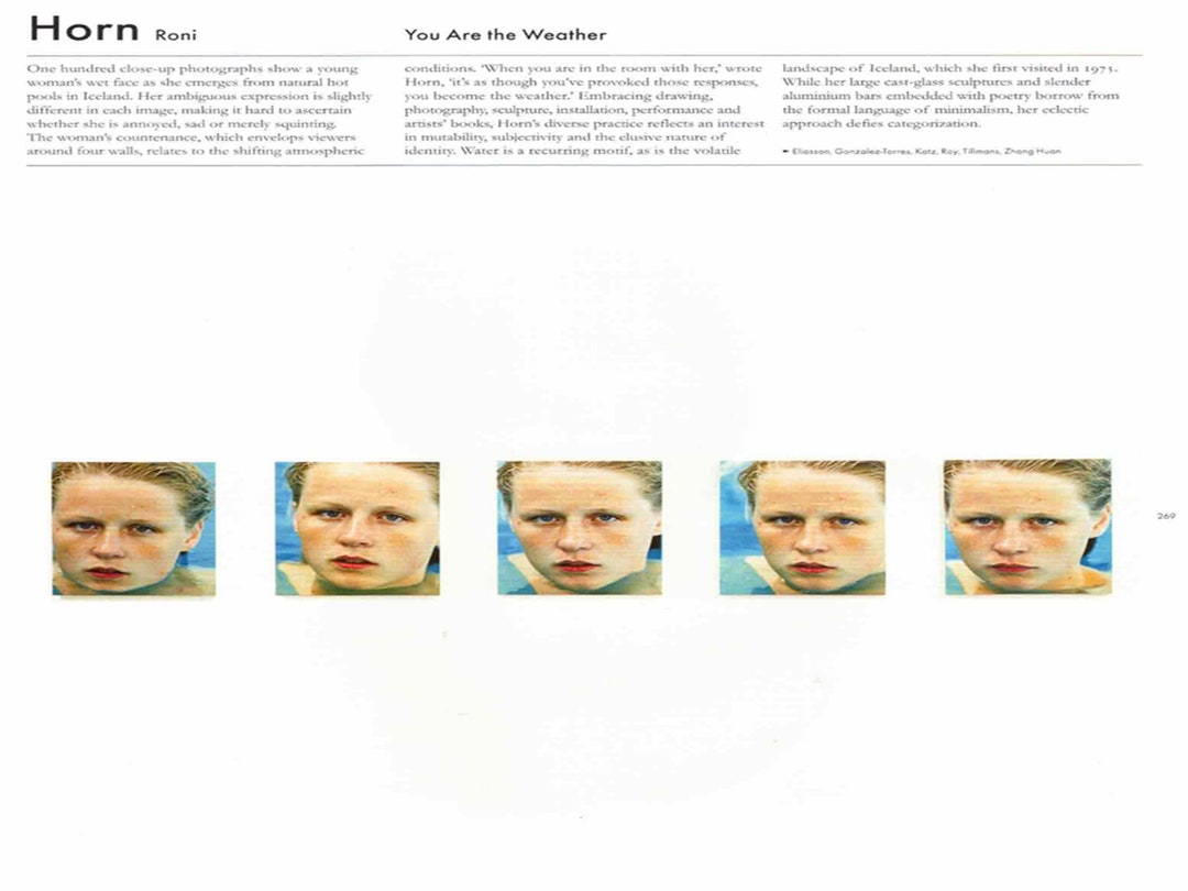 Roni horn you are the weather