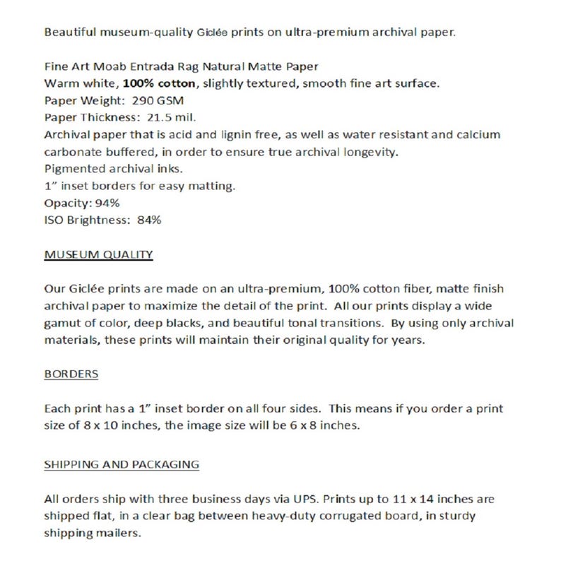 Puede incluir: Papel Fine Art Moab Entrada Rag Natural Mate, blanco c&aacute;lido, 100% algod&oacute;n, ligeramente texturizado, superficie lisa de arte fino. Peso del papel: 290 g/m&sup2;, grosor del papel: 21,5 mil. Libre de &aacute;cido y lignina, resistente al agua y tamponado con carbonato de calcio. Tintas de archivo pigmentadas. Bordes empotrados de 1 pulgada para un f&aacute;cil enmarcaci&oacute;n. Opacidad: 94%, Brillo ISO: 84%.